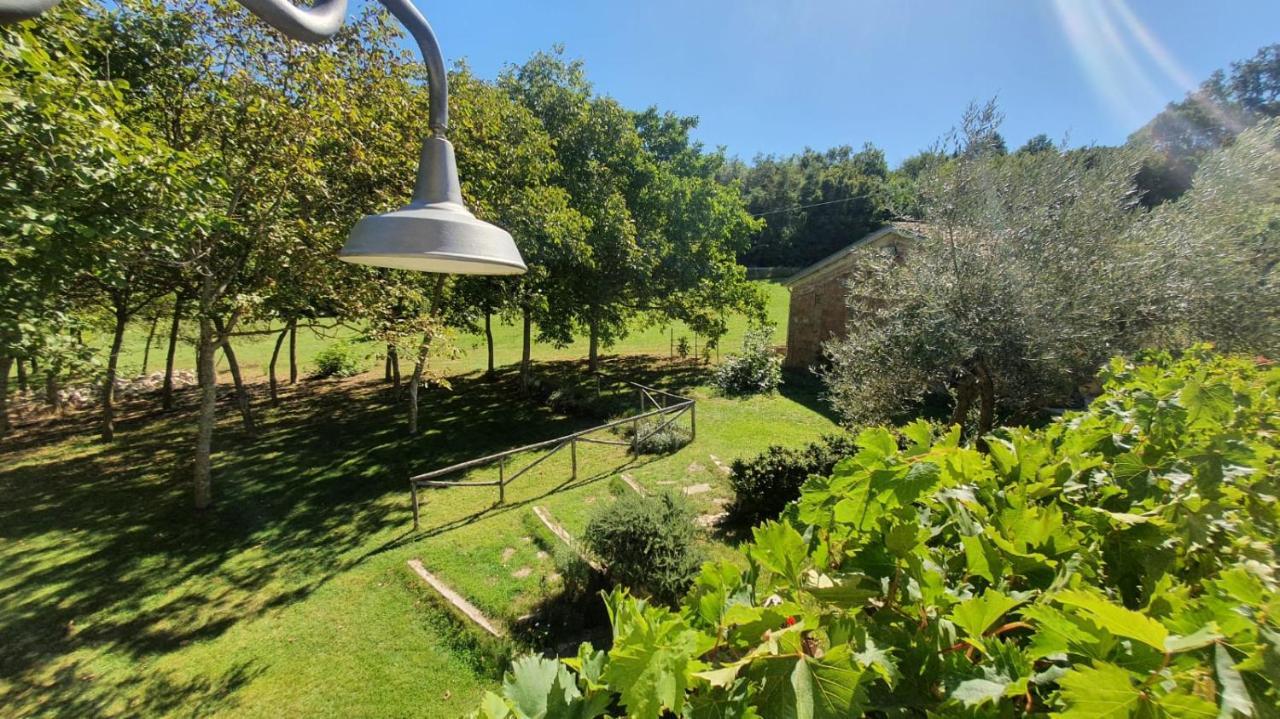 Al Noceto Countryside Bed & Breakfast Busso Екстериор снимка